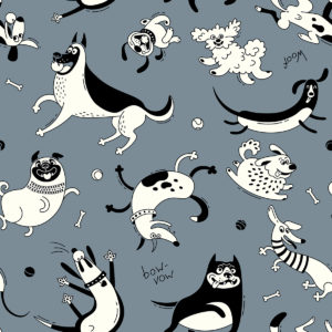 rapport CARTON GRIS
