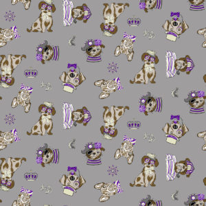 rapport DOG SOMBRERO