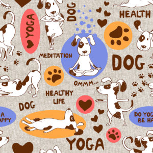 rapport DOG YOGA LILA