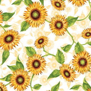 rapport GIRASOLES