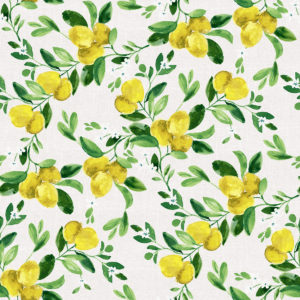 rapport LIMONES