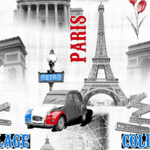 rapport PARIS