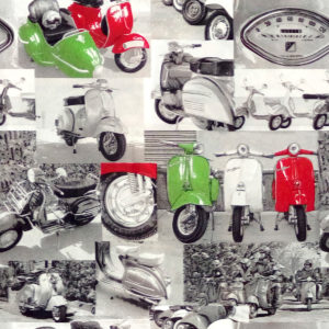 rapport VESPAS
